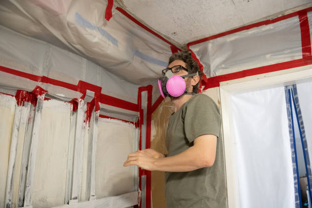 Best Post-Remediation Verification Testing  in Dyersville, IA