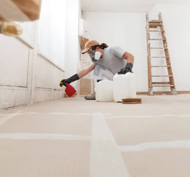 Mold Removal for HVAC Installations in Dyersville, IA