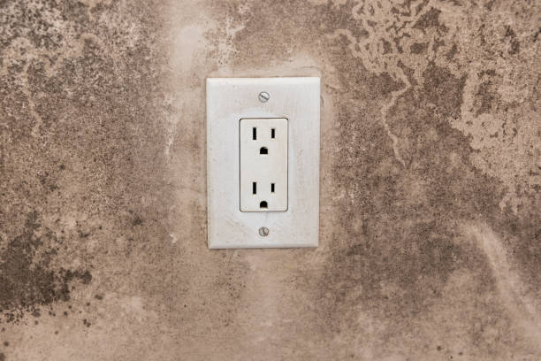 Best Post-Construction Mold Inspection  in Dyersville, IA
